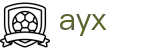 ayx.ai游戏(中国)体育发展有限公司